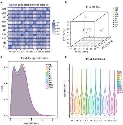 A Comparison of Transcriptional Diversity of Swine Macrophages Infected With TgHB1 Strain of Toxoplasma gondii Isolated in China